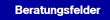 Beratungsfelder